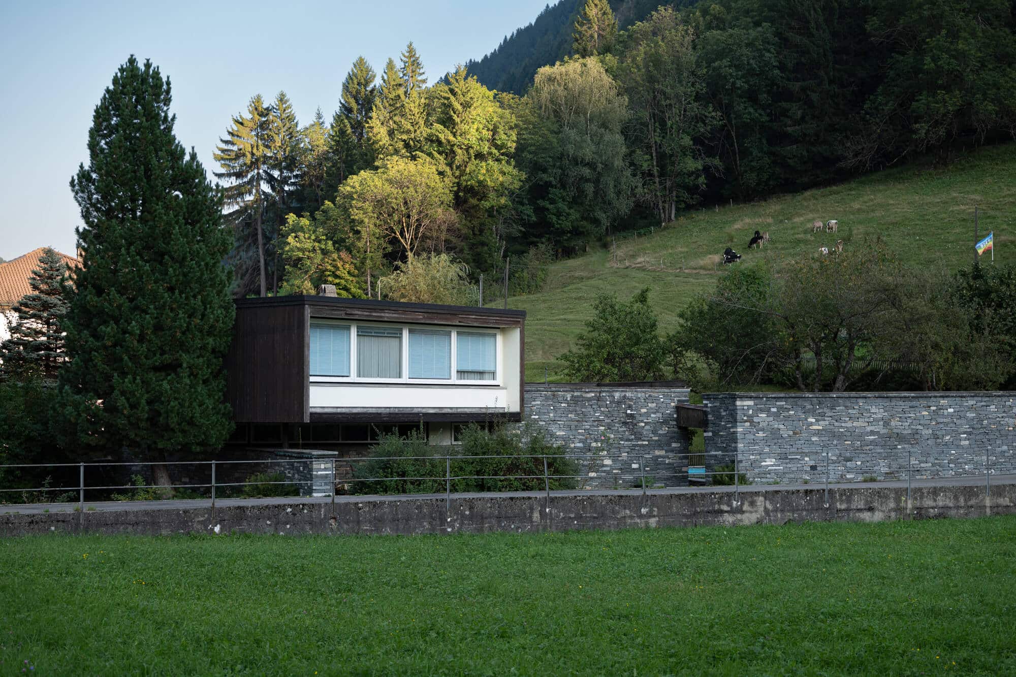 Leventina II 17
