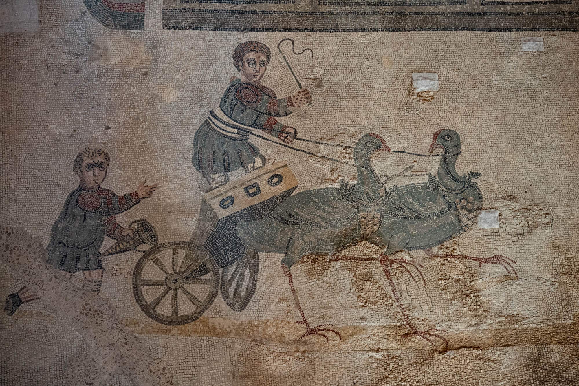 Greeks & Romans 19