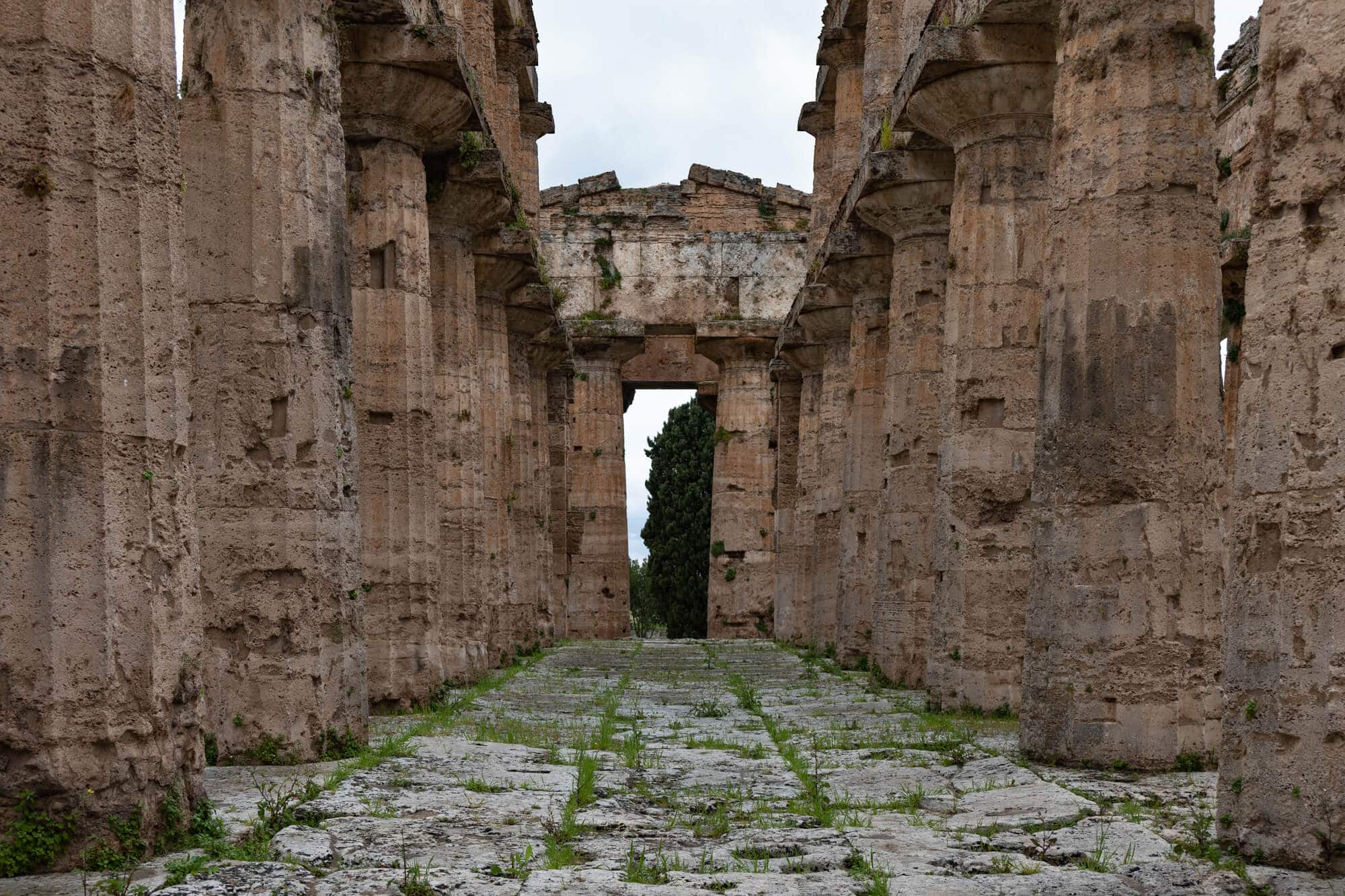 Greeks & Romans 30