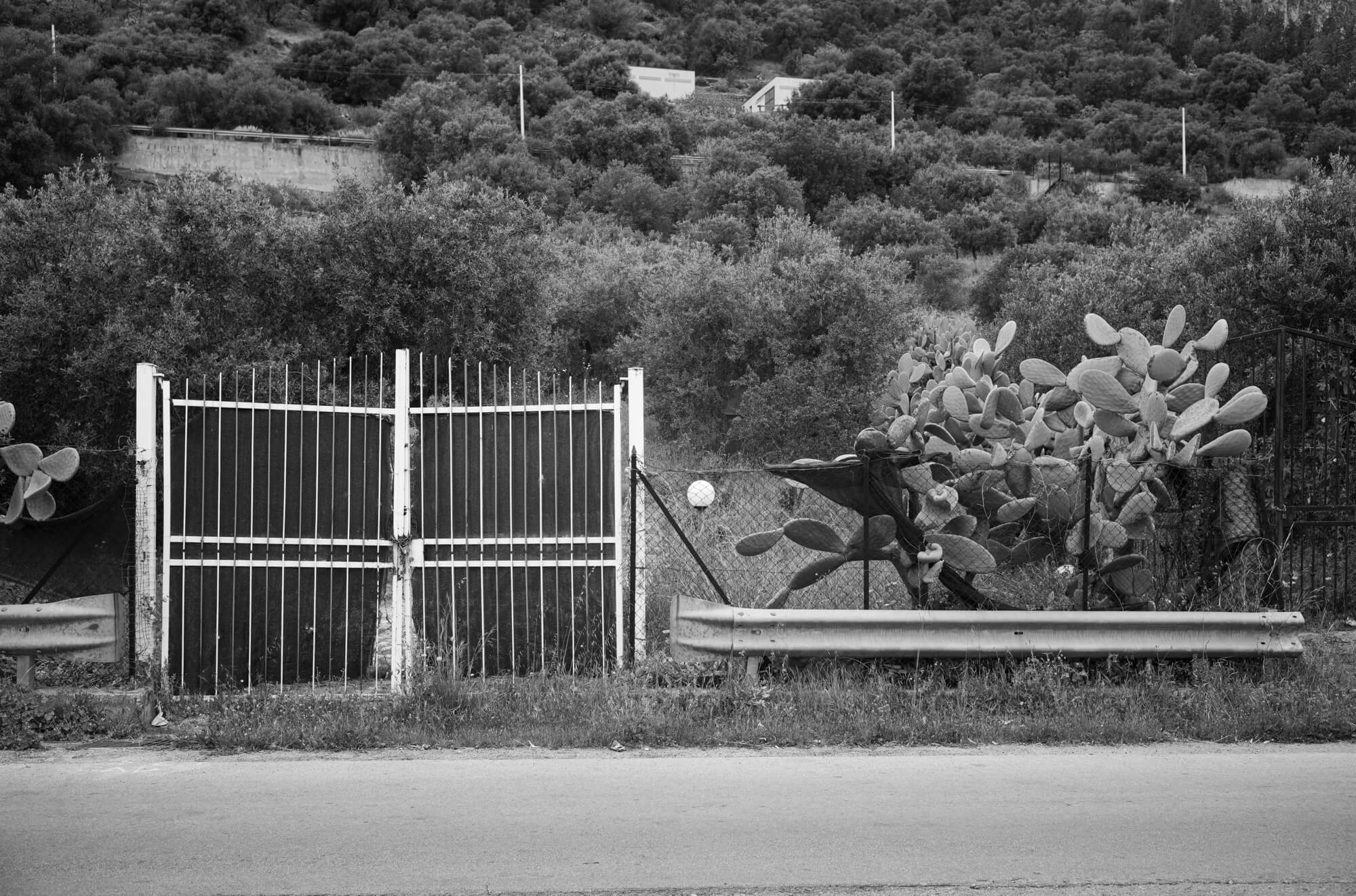 Mezzogiorno II 1